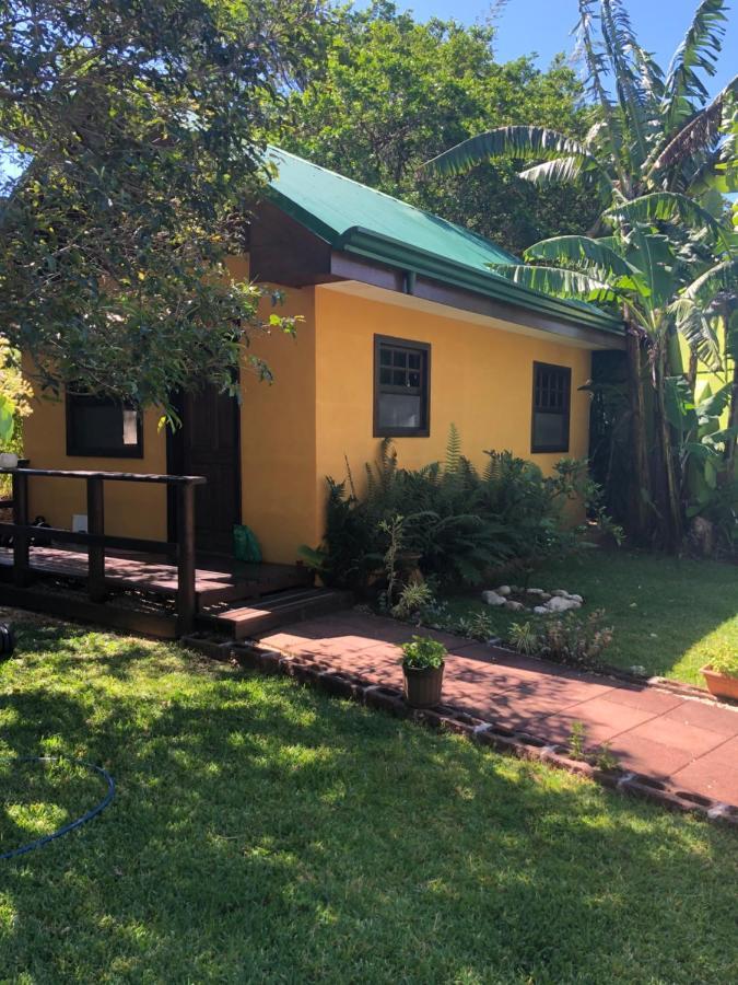 Airport Rio Segundo Studio Bed and Breakfast Alajuela Esterno foto