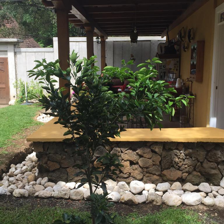Airport Rio Segundo Studio Bed and Breakfast Alajuela Esterno foto