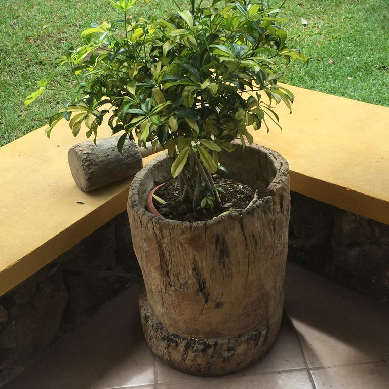 Airport Rio Segundo Studio Bed and Breakfast Alajuela Esterno foto